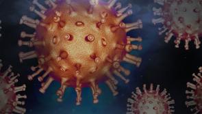 ALERT: Illness warning as almost 1,000 people hospitalised in surge in Ireland over Christmas