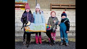 Tipperary club's Coursing Festival - Premier Cup and Top-Class Greyhound Action Await in 2025