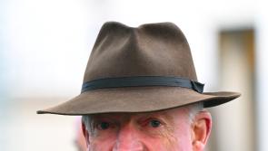  Willie Mullins looks to hold all the aces on Lawlor's of Naas Novice Hurdle Day