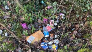 Local Tipperary Tidy Towns group angered  by rubbish dumping