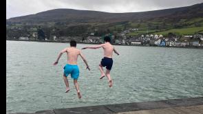 De La Salle students bravely take the plunge in Louth for charity