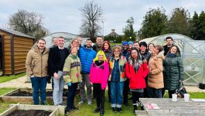 European guests visit HSE horticultural project in Tipperary