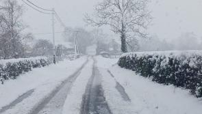 BREAKING: Parents and children trapped in car amid 'blizzard-like' conditions in Limerick