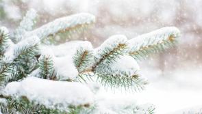 SNOW DAY: All schools in this Tipperary area set to stay closed tomorrow