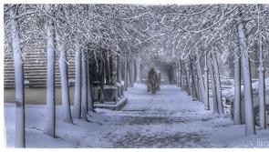 BREAKING: Many Laois schools to remain closed due to snow and icy conditions