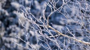 Uisce Éireann urges the public in Kilkenny to conserve water during cold snap