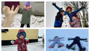 PICTURES: Stunning snow covered Laois embraces the cold snap 