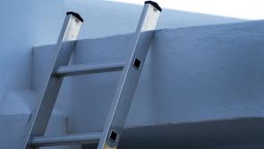 Two ladders taken from shed in Letterkenny burglary
