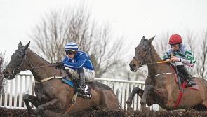 New Year but same old winning ways for Willie Mullins