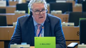 MEP Mullooly criticizes stalled generator supply 