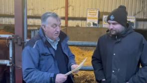 WATCH: Con Quinn delivers 'prize heifer' to Friends of Tipperary Football draw winner