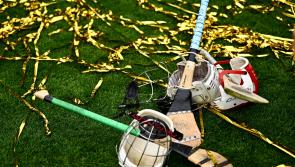 Former Kilkenny club hurling manager appointed the GAA's National Head of Hurling