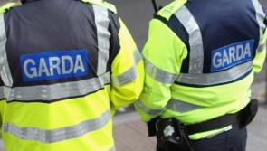 Gardaí appeal for information after cars set ablaze in Leitrim