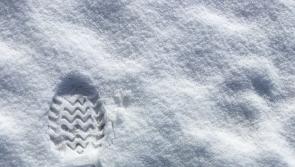 ALERT: Kilkenny County Council make public safety plea as temperature warnings continue 