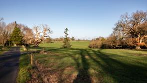 Development plans for Tipperary science and technology campus are welcomed