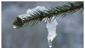 The big thaw is finally here as Met Éireann forecasts an end to cold snap this weekend