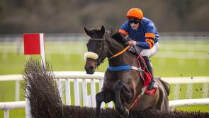 Another winner for Tipperary jockey Cian Quirke this time at Punchestown
