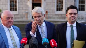 BREAKING: Lowry and technical group granted Dáil speaking rights following contentious vote