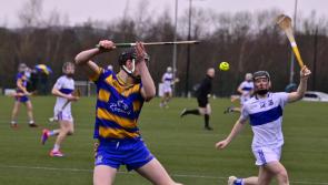 IN PICTURES: Tipperary schools impress during Harty Cup and U19B quarter-finals in UL