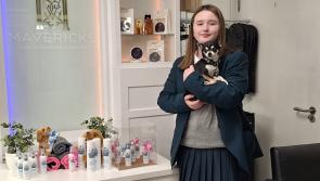 Derry girl launches dog shampoo and designer pawfume at the age of 11