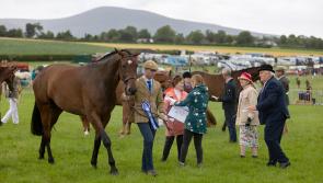 LONG READ: Tipperary venue is much more than a racecourse