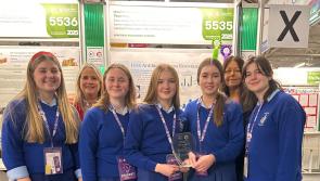 Ursuline Team win the ‘One Health AMR’ Award at BT Young Scientist 