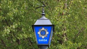 ALERT: Investigation underway after two homes are damaged in Clare housing estate
