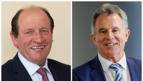 Laois TDs would serve as Ministers when Government forms if picked 