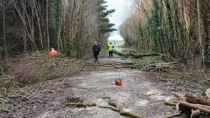 Essential maintenance carried out at popular Laois walking route 
