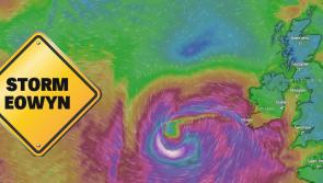 STORM EOWYN: Ireland on alert as Met Eireann warns of destructive winds as serious warnings issued