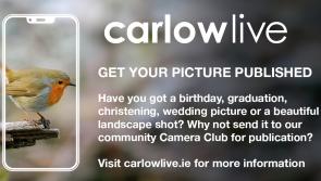 Got a festive picture over Christmas? Send it to the Carlow Camera Club! 