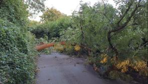 Leitrim  applicants for Humanitarian Assistance Scheme (HAS) still waiting after storm Éowyn 