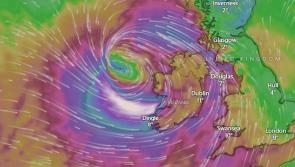 Gardaí warn 'stay indoors'  as Laois County Council announces closures ahead of Storm Éowyn