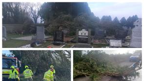 In Pictures: Trail of damage left through Laois by Storm Eowyn