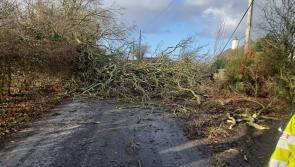 Laois Gardaí have thanked the public for being responsible during Storm Éowyn