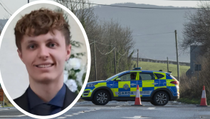 Man killed by falling tree in Donegal crash named as 20-year-old Kacper Dudek