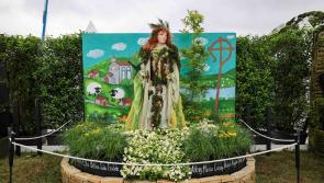 Kildare community gardening groups wanted for Bord Bia Bloom

