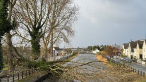 STORM EOWYN: ESB dealing with an unprecedented number of faults on the network in Offaly