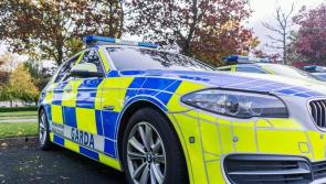 Less than 50 patrol cars gardaí to police crime in Laois and Offaly