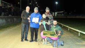 Derry Greyhounds: Newsreel unveils the script for success in Premier Greyhound Sales 500