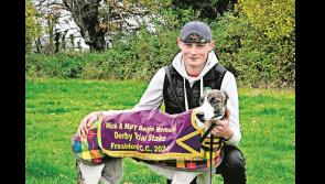 The Galloping Lads are hoping to walk on air at National Coursing Meeting in Tipperary 