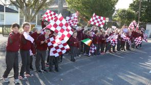 Laois town crowned Community Champions for 21st century virtual project