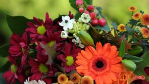 Death notices for Donegal on Monday Morning, February 3