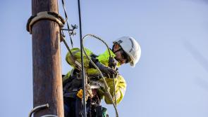 Nearly 4,000 Leitrim homes without power over 10 days after Storm Éowyn