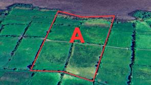 Prime agricultural land in Longford to be sold at online auction