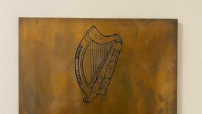 Assault as a result of 'Juvenile behaviour' is heard by Longford Circuit Court