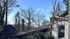 Outrage as hundreds in Leitrim still without power