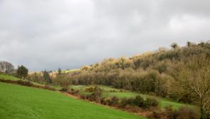 Applications sought in Carlow for the Heritage Council&rsquo;s Adopt a Monument Scheme