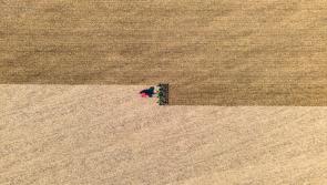 Almost €2.5 million to be awarded to farmers in Tipperary