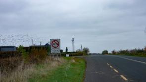 Mast near scenic Laois village appealed as local resident says human rights are being violated 